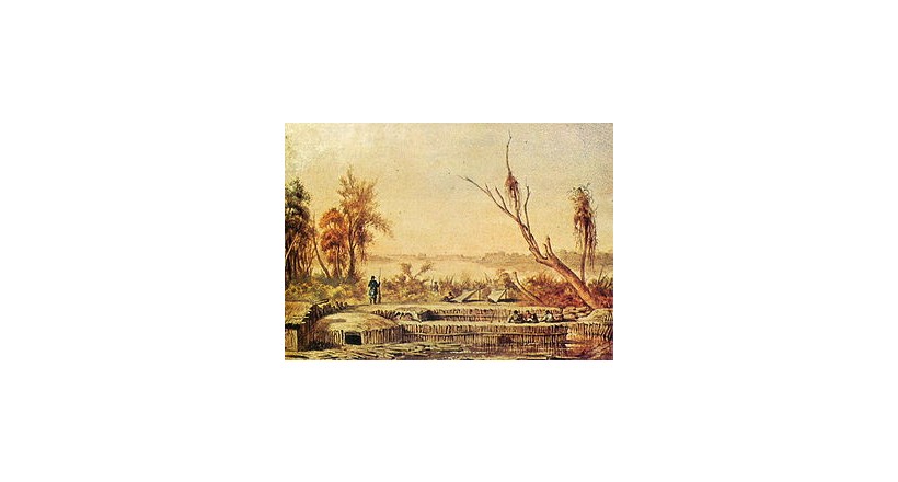 حملة ماتو جروسو