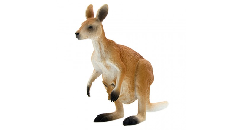 Kangaroo