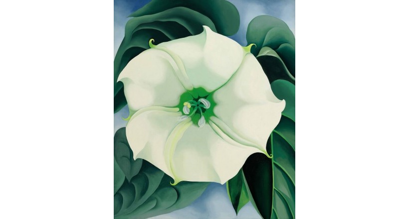 Jimson Weed The White Flower No. 1 by Georgia O’Keeffe paint
