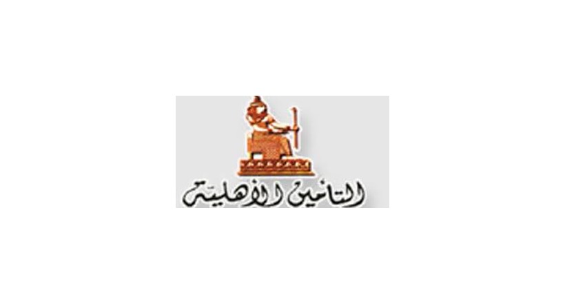 Egyptian National Insurance Company
