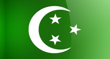 The old Egyptian flag