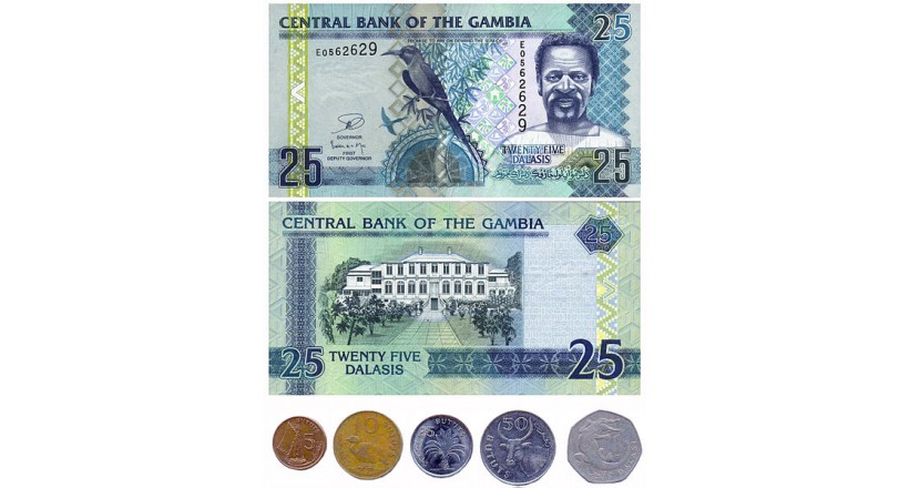 دالاسي غامبي