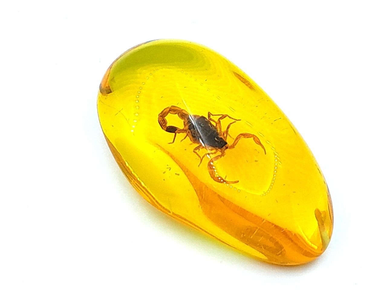 A piece of amber, a scorpion